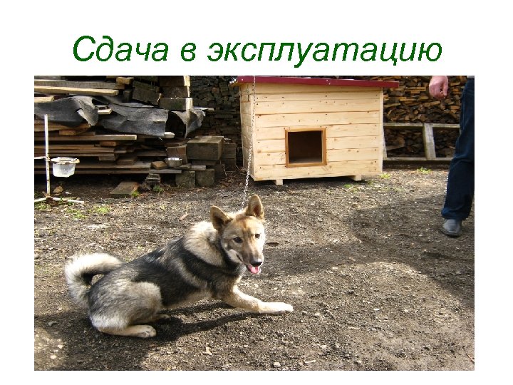 Сдача в эксплуатацию 