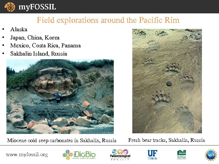 Field explorations around the Pacific Rim • • Alaska Japan, China, Korea Mexico, Costa