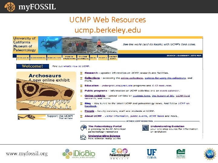 UCMP Web Resources ucmp. berkeley. edu 