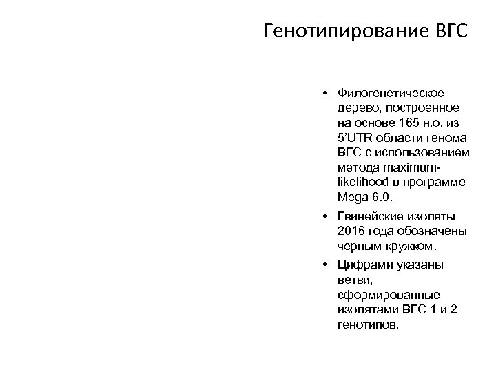 Генотипирование ВГС • Филогенетическое дерево, построенное на основе 165 н. о. из 5’UTR области