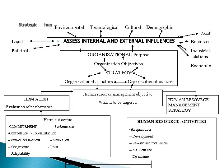 Strategic human resource management diagnostic model Environmental Technological Cultural Demographic Social Business Industrial relations