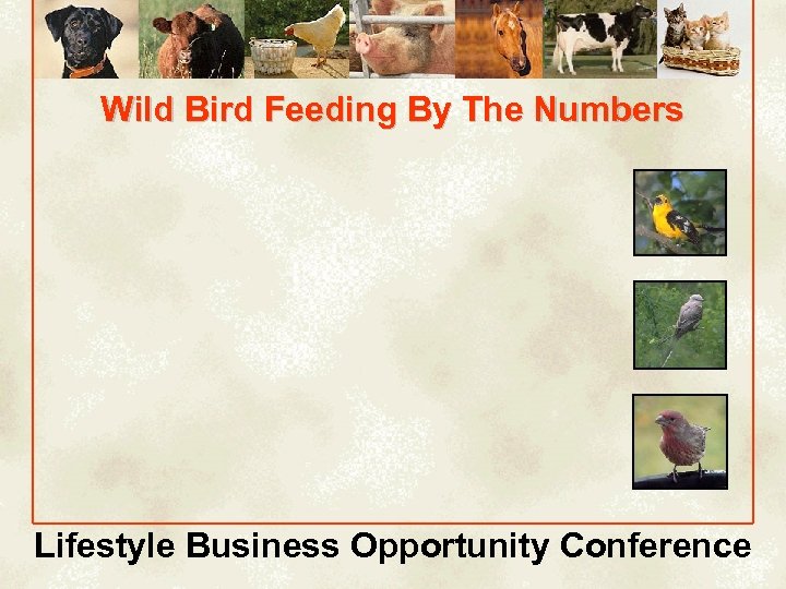 Wild Bird Feeding By The Numbers Lifestyle Business Opportunity Conference 
