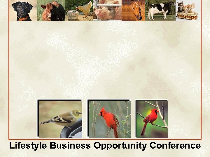 Lifestyle Business Opportunity Conference 