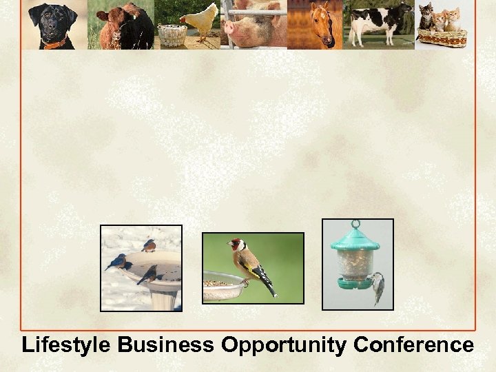 Lifestyle Business Opportunity Conference 