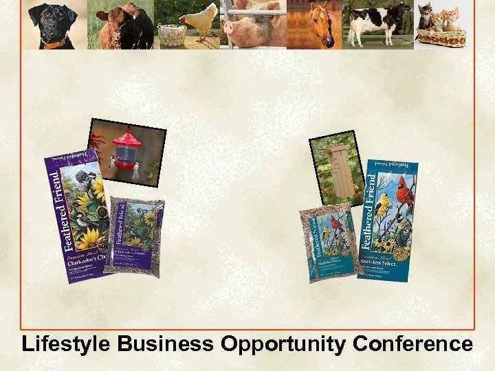 Lifestyle Business Opportunity Conference 