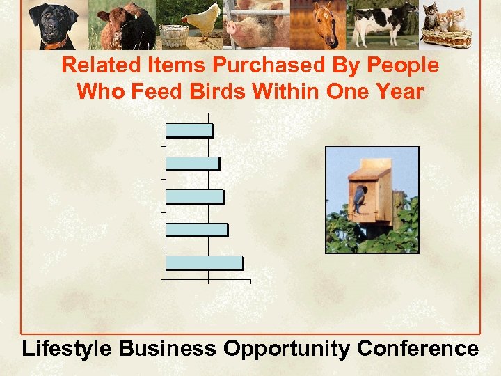 Related Items Purchased By People Who Feed Birds Within One Year Lifestyle Business Opportunity