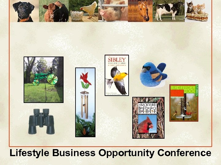 Lifestyle Business Opportunity Conference 