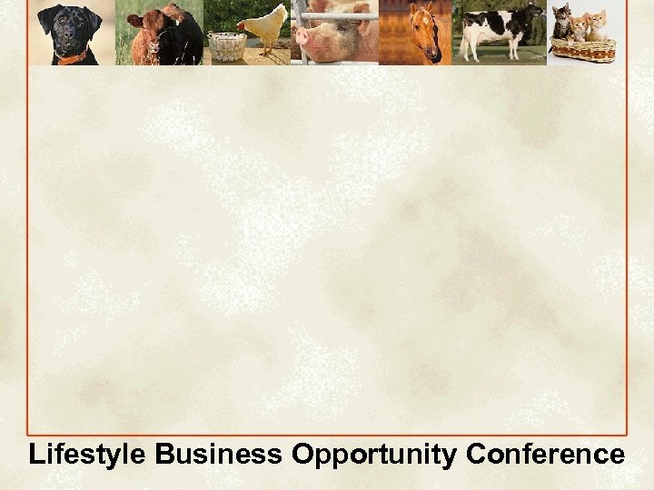 Lifestyle Business Opportunity Conference 