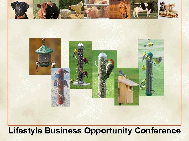 Lifestyle Business Opportunity Conference 