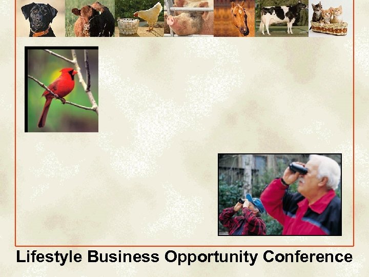 Lifestyle Business Opportunity Conference 