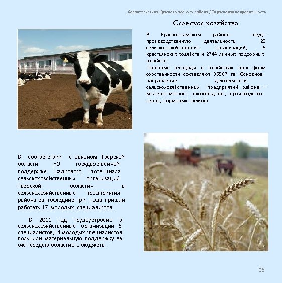 Характеристика Краснохолмского района / Отраслевая направленность Сельское хозяйство В Краснохолмском районе ведут производственную деятельность