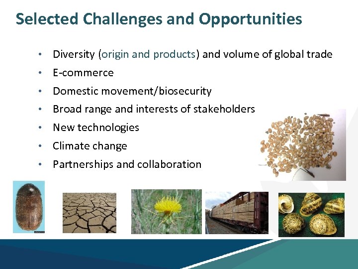 Selected Challenges and Opportunities • Diversity (origin and products) and volume of global trade