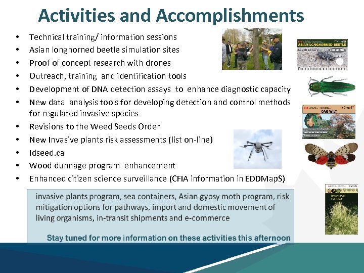 Activities and Accomplishments • • • Technical training/ information sessions Asian longhorned beetle simulation