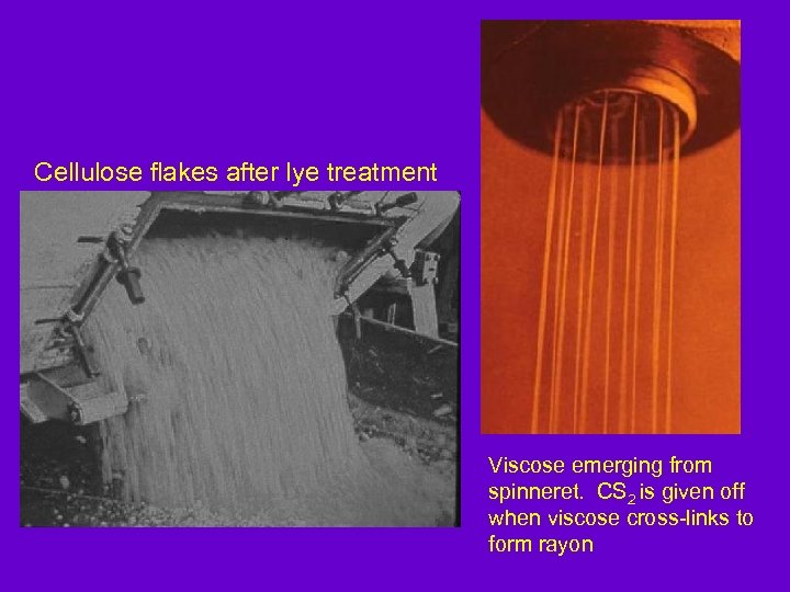 Cellulose flakes after lye treatment Viscose emerging from spinneret. CS 2 is given off