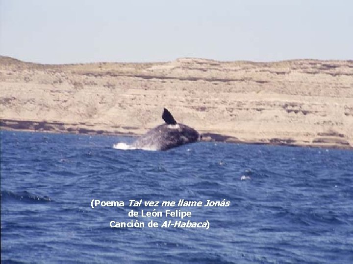 (Poema Tal vez me llame Jonás de León Felipe Canción de Al-Habaca) 