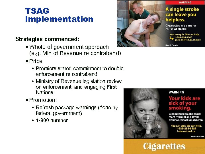 TSAG Implementation Strategies commenced: § Whole of government approach (e. g. Min of Revenue