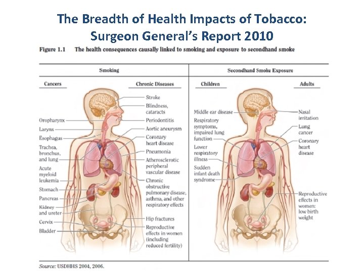 The Breadth of Health Impacts of Tobacco: Surgeon General’s Report 2010 