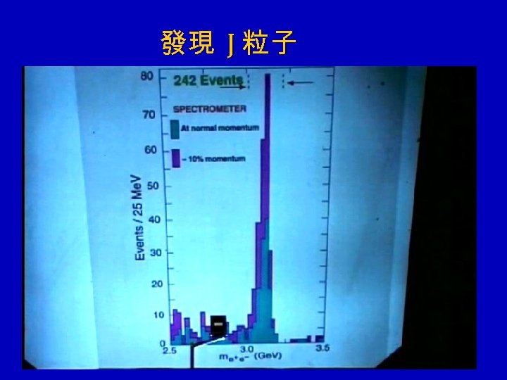 發現 J 粒子 