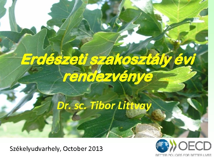 Erdészeti szakosztály évi rendezvénye Dr. sc. Tibor Littvay Székelyudvarhely, October 2013 