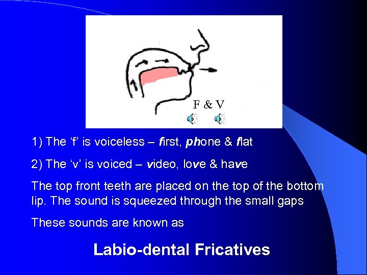 F&V 1) The ‘f’ is voiceless – first, phone & flat 2) The ‘v’