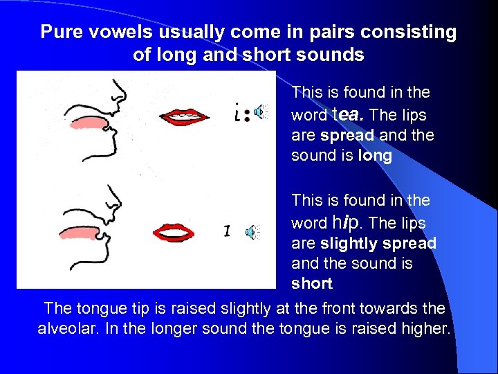 Pure vowels usually come in pairs consisting of long and short sounds : This
