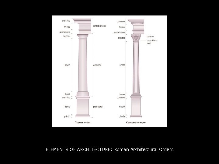 ELEMENTS OF ARCHITECTURE: Roman Architectural Orders 