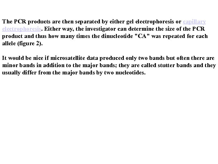 The PCR products are then separated by either gel electrophoresis or capillary electrophoresis. Either