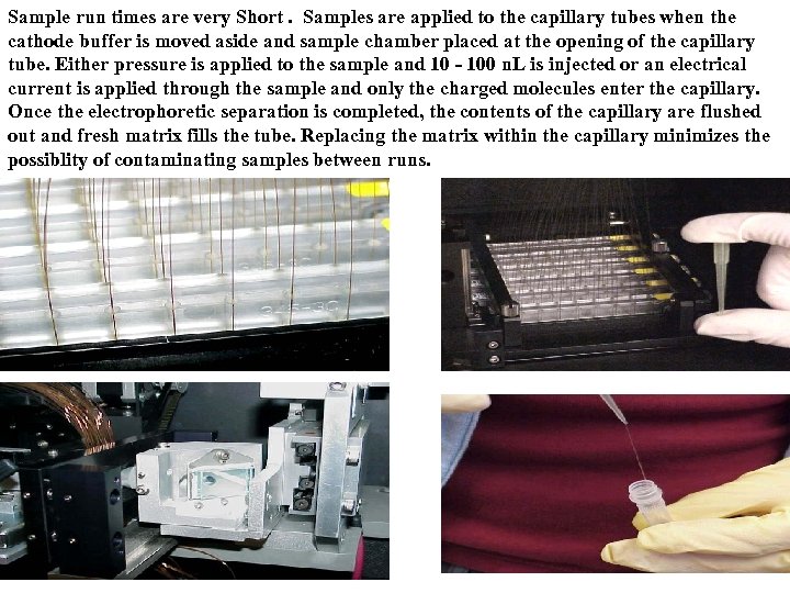 Sample run times are very Short. Samples are applied to the capillary tubes when