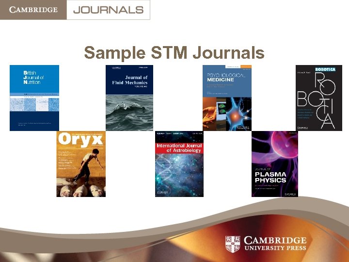 Sample STM Journals 