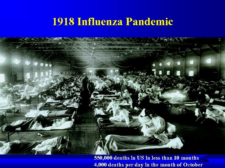 1918 Influenza Pandemic 550, 000 deaths in US in less than 10 months 4,