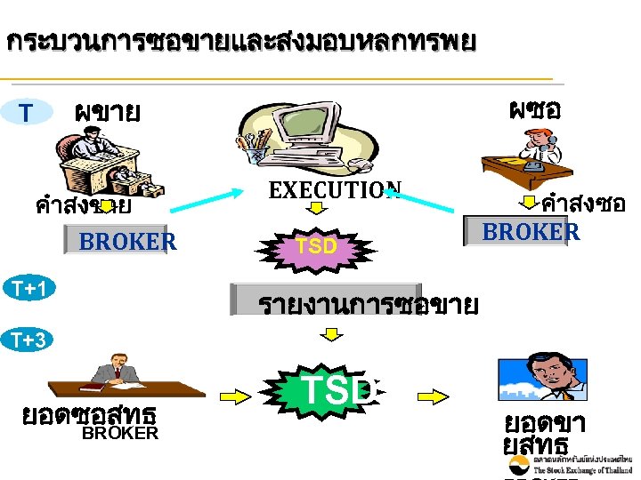 กระบวนการซอขายและสงมอบหลกทรพย ผซอ ผขาย T ASSET คำสงขาย BROKER T+1 EXECUTION TSD คำสงซอ BROKER รายงานการซอขาย T+3