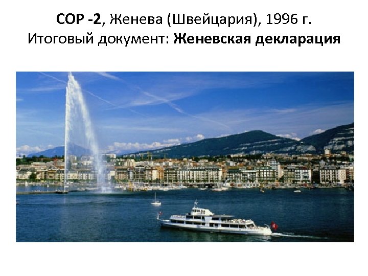 COP -2, Женева (Швейцария), 1996 г. Итоговый документ: Женевская декларация 