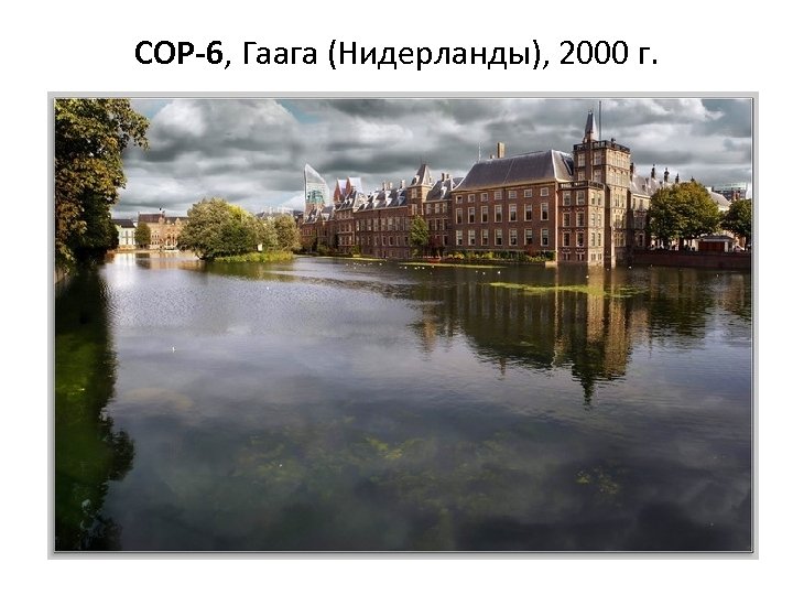 COP-6, Гаага (Нидерланды), 2000 г. 