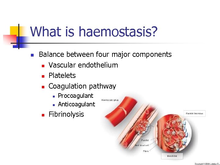 What is haemostasis? n Balance between four major components n Vascular endothelium n Platelets