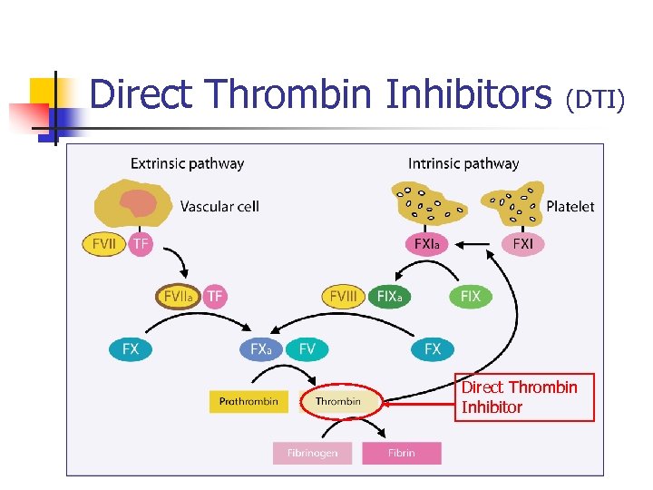 Direct Thrombin Inhibitors (DTI) Direct Thrombin Inhibitor 
