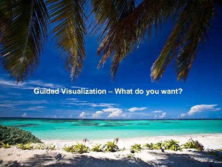 Guided Visualization – What do you want? 