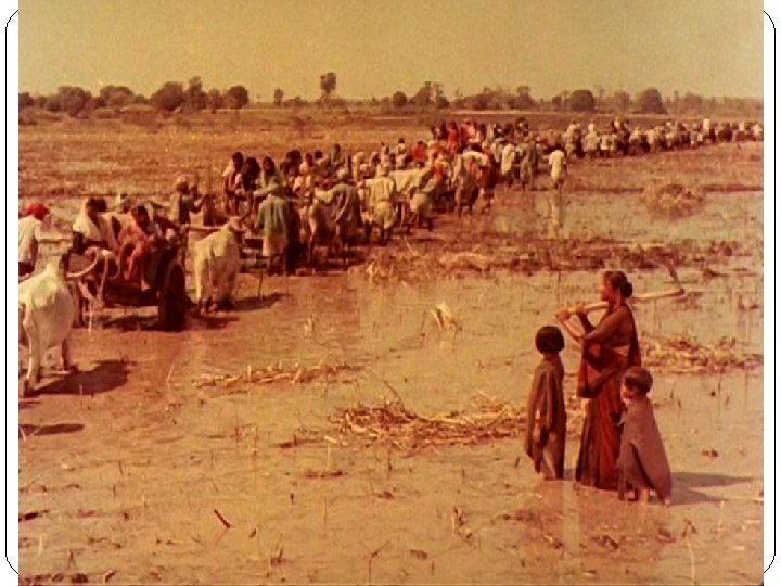 PD Mag. Dr. Claus Tieber 