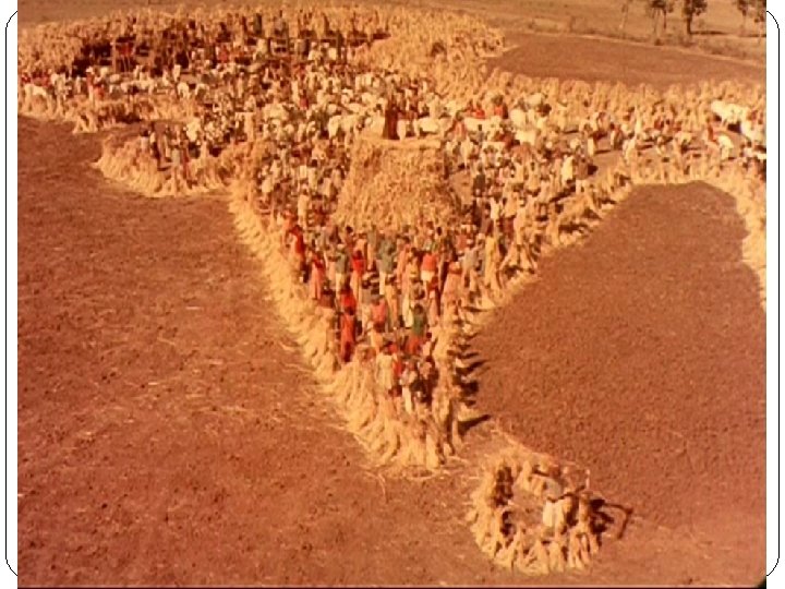 PD Mag. Dr. Claus Tieber 