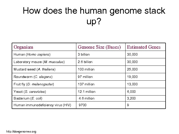 How does the human genome stack up? Organism Genome Size (Bases) Estimated Genes Human