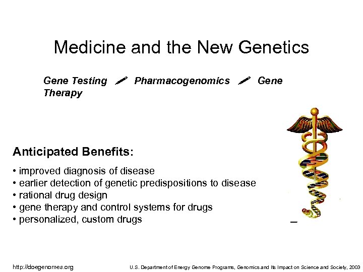 Medicine and the New Genetics Gene Testing Pharmacogenomics Gene Therapy Anticipated Benefits: • improved