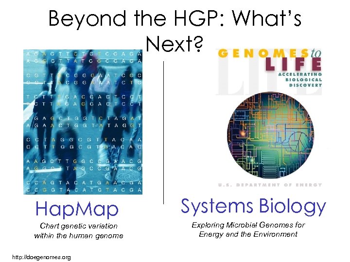 Beyond the HGP: What’s Next? Hap. Map Chart genetic variation within the human genome