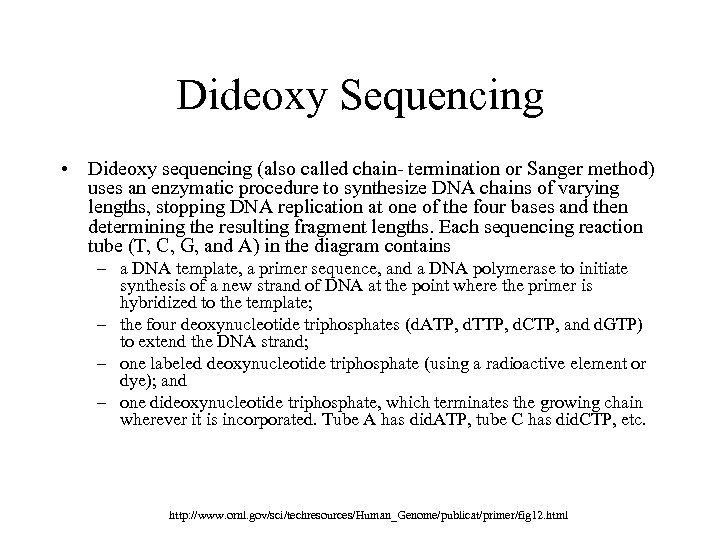 Dideoxy Sequencing • Dideoxy sequencing (also called chain- termination or Sanger method) uses an
