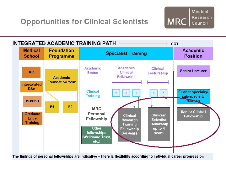Opportunities for Clinical Scientists 
