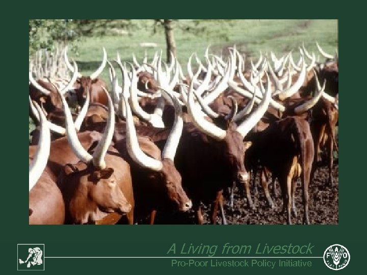 A Living from Livestock Pro-Poor Livestock Policy Initiative 