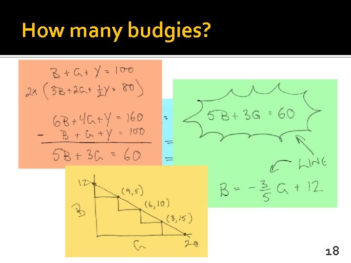 How many budgies? 18 