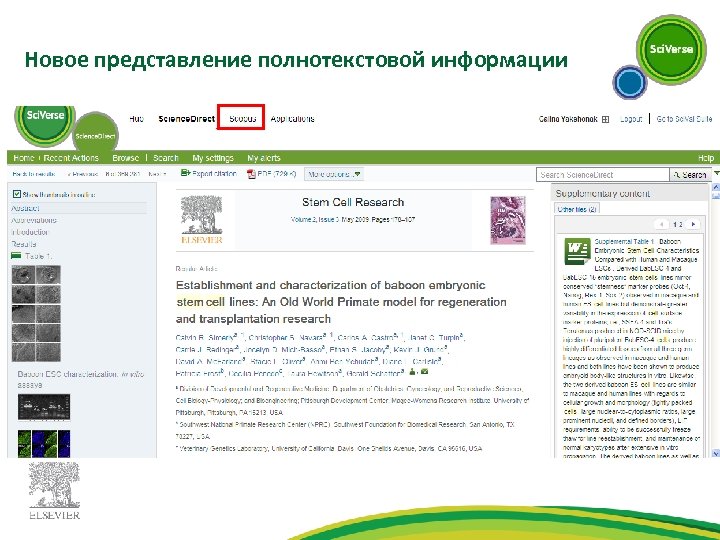 Новое представление полнотекстовой информации 