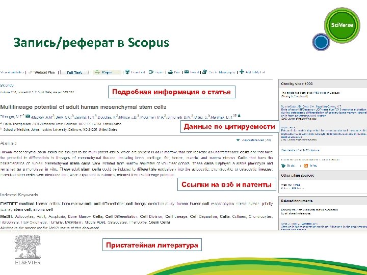 Запись/реферат в Scopus Подробная информация о статье Данные по цитируемости Ссылки на вэб и