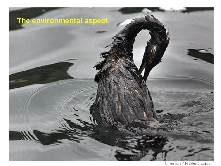 The environmental aspect 