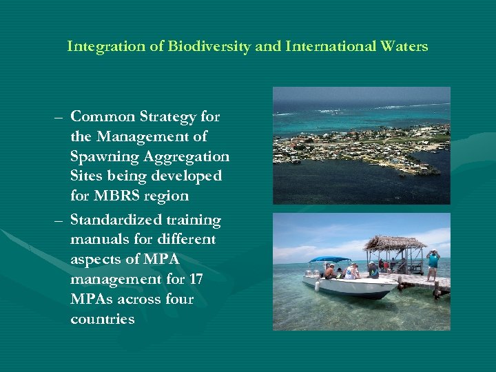 Integration of Biodiversity and International Waters – Common Strategy for the Management of Spawning