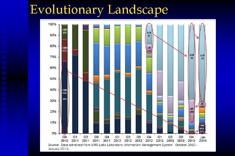 Evolutionary Landscape 